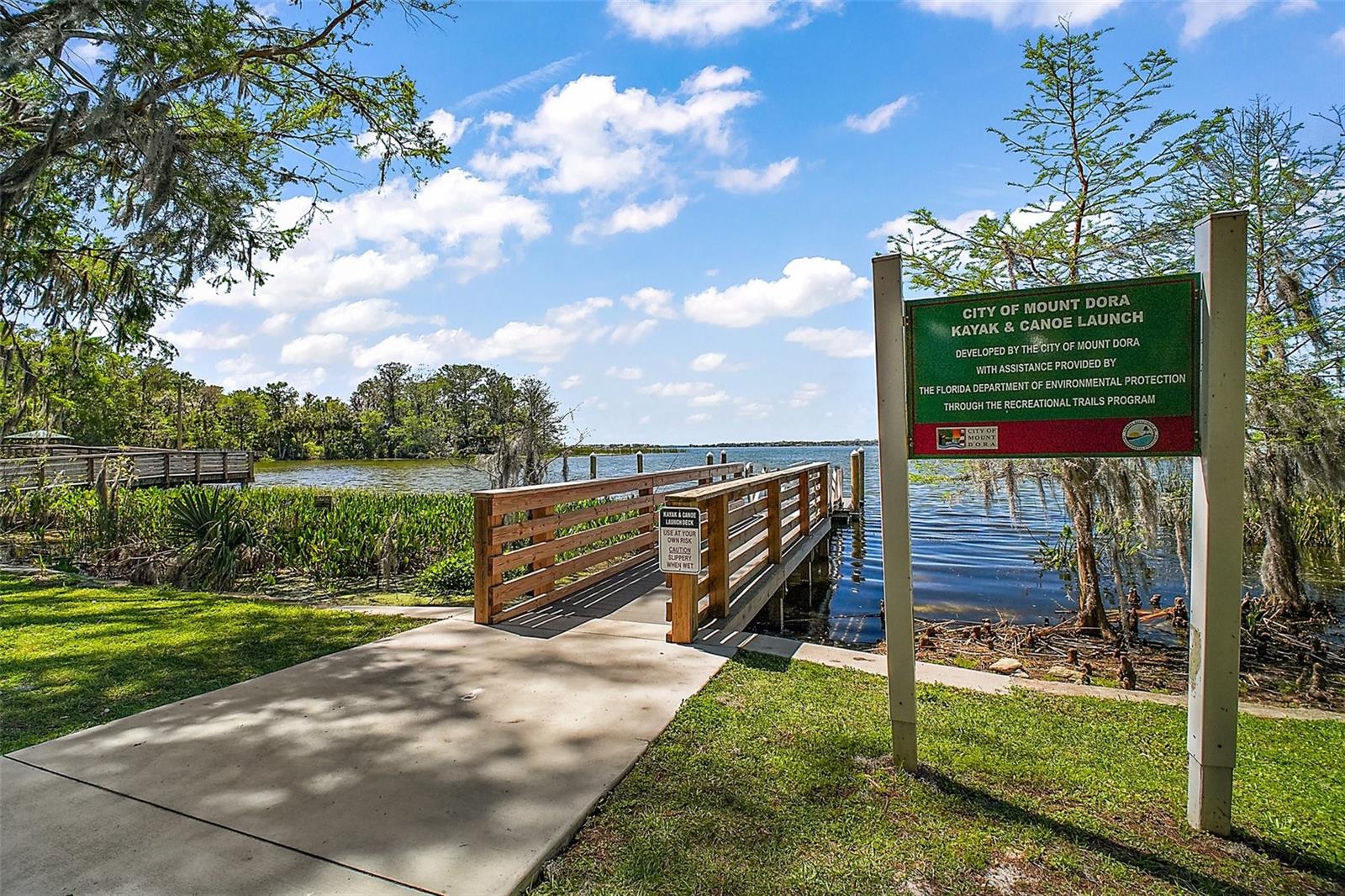 605 SANDLAKE CT, MOUNT DORA, FL — photo 148