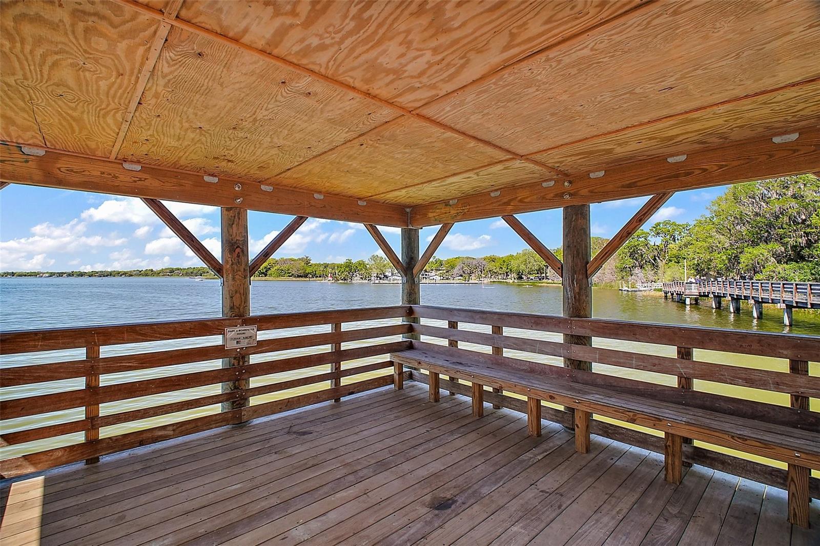 605 SANDLAKE CT, MOUNT DORA, FL — photo 157