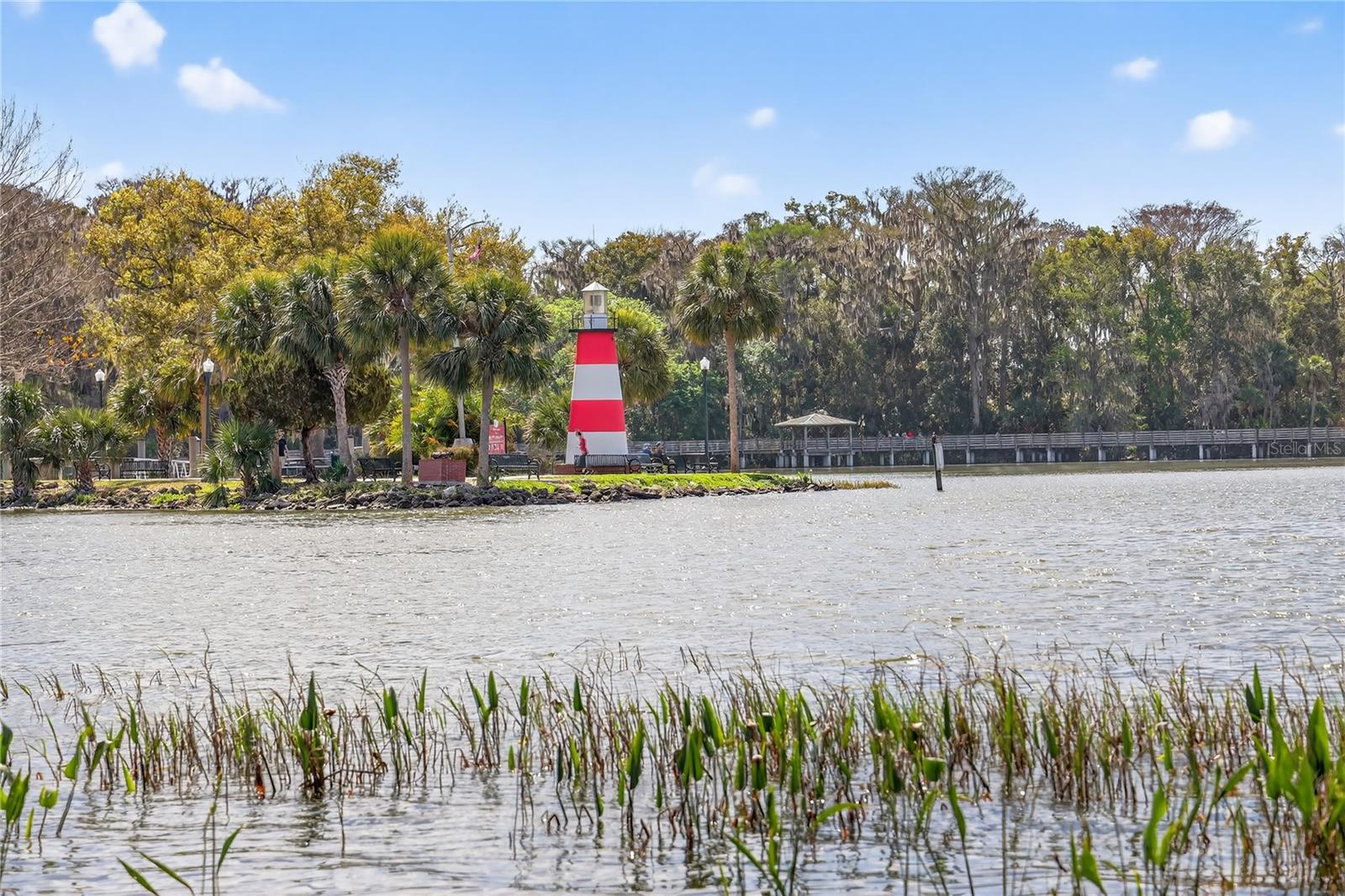 605 SANDLAKE CT, MOUNT DORA, FL — photo 160
