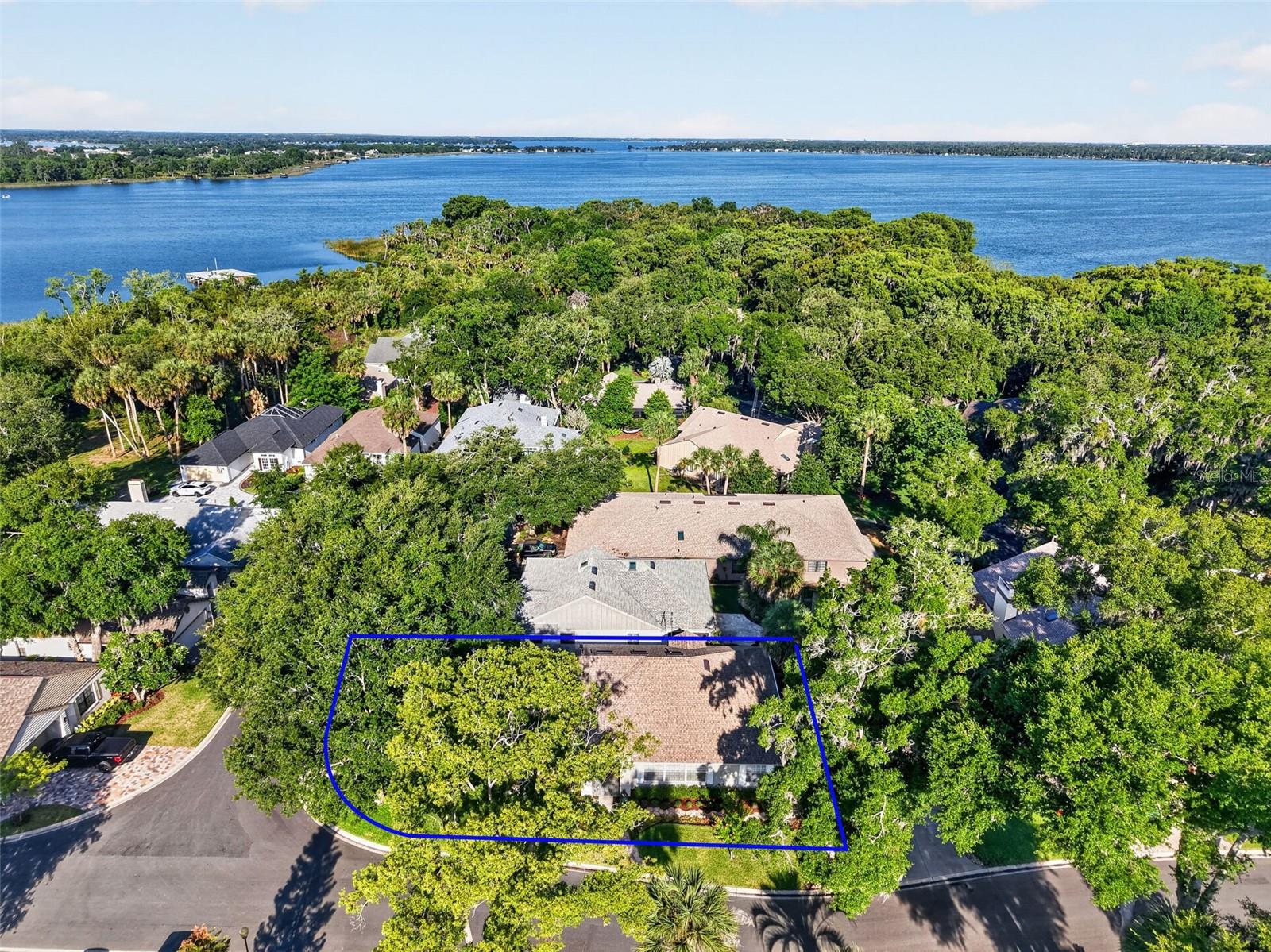 605 SANDLAKE CT, MOUNT DORA, FL — photo 189