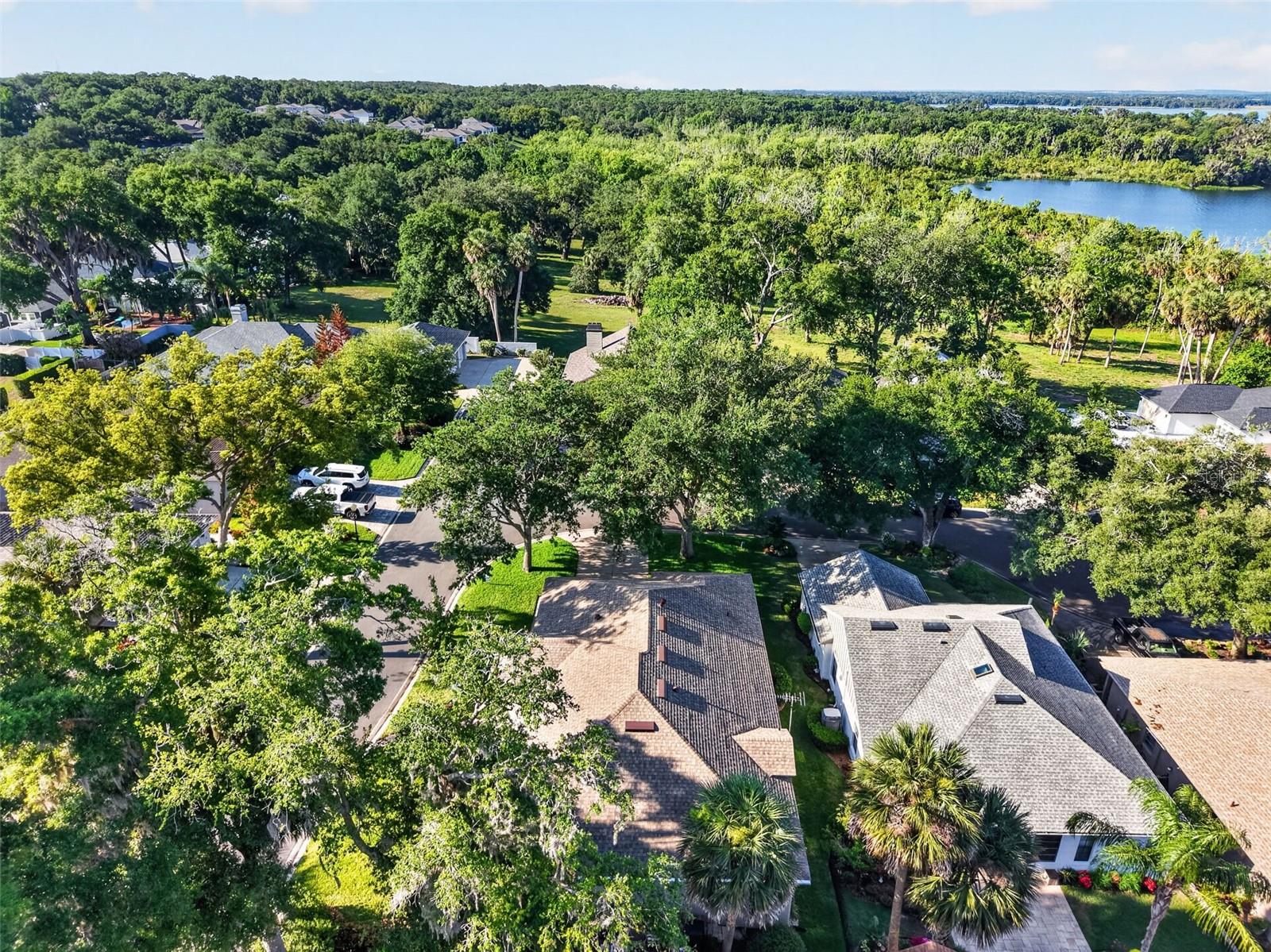 605 SANDLAKE CT, MOUNT DORA, FL — photo 191