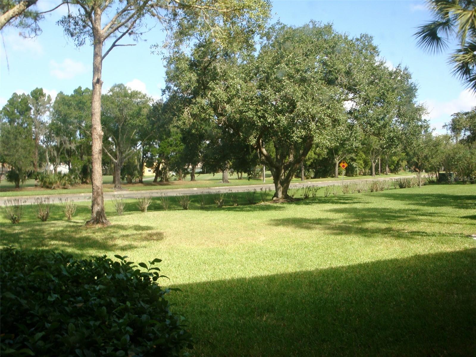 111 E CYPRESS CT #111, OLDSMAR, FL — photo 19