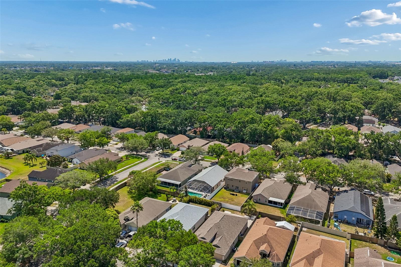 4789 WHISPERING WIND AVE, TAMPA, FL — photo 96