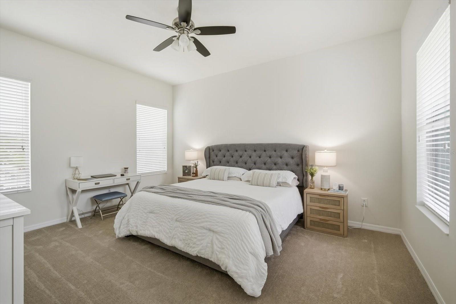 11310 WINTHROP LAKE DR, RIVERVIEW, FL — photo 4