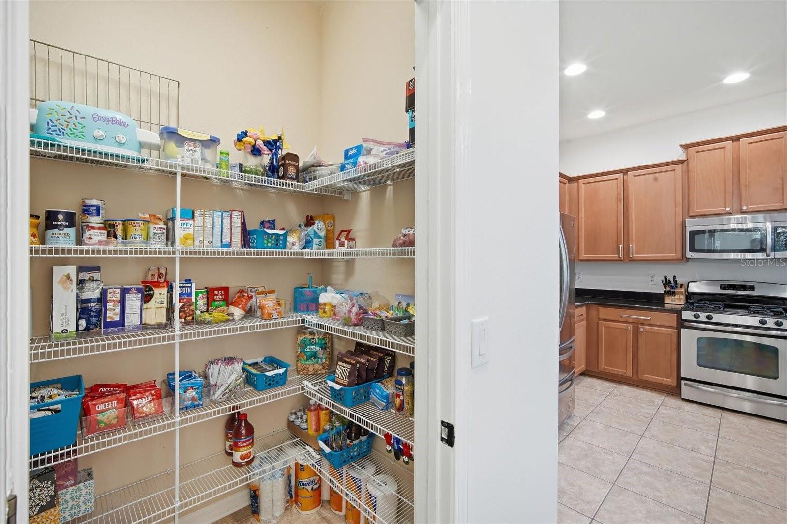 11310 WINTHROP LAKE DR, RIVERVIEW, FL — photo 12