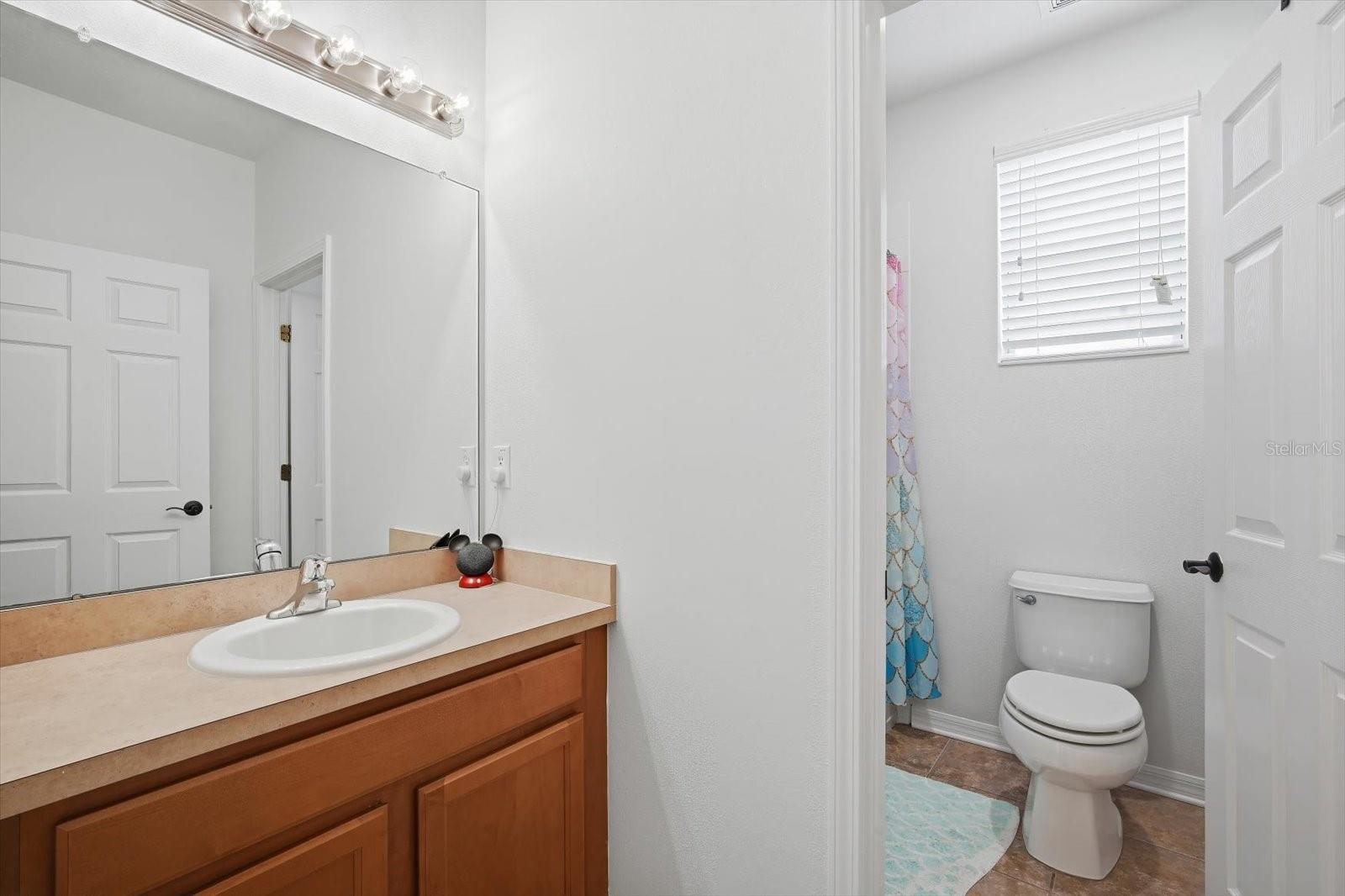 11310 WINTHROP LAKE DR, RIVERVIEW, FL — photo 23