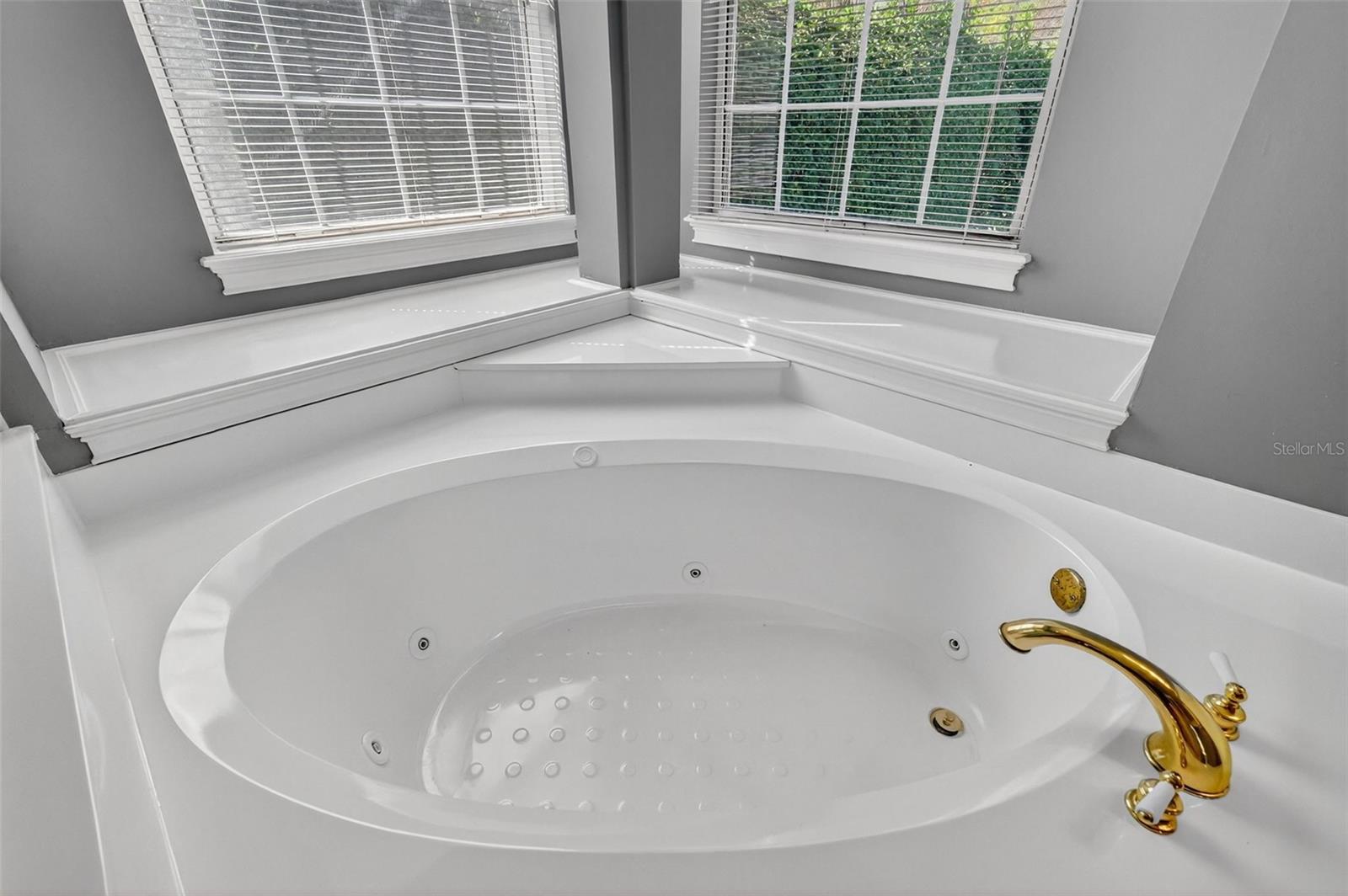 1741 EDGEWATER DR, MOUNT DORA, FL — photo 52
