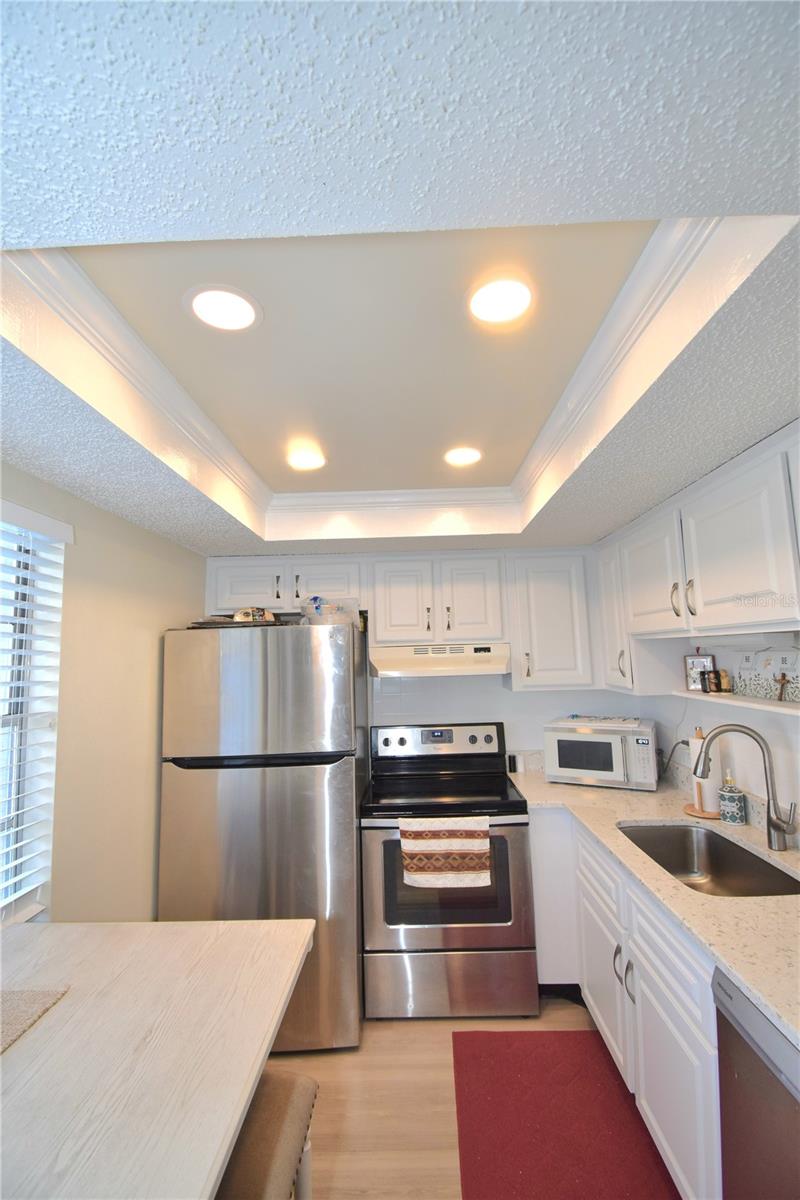 952 VIRGINIA ST #209, DUNEDIN, FL — photo 4