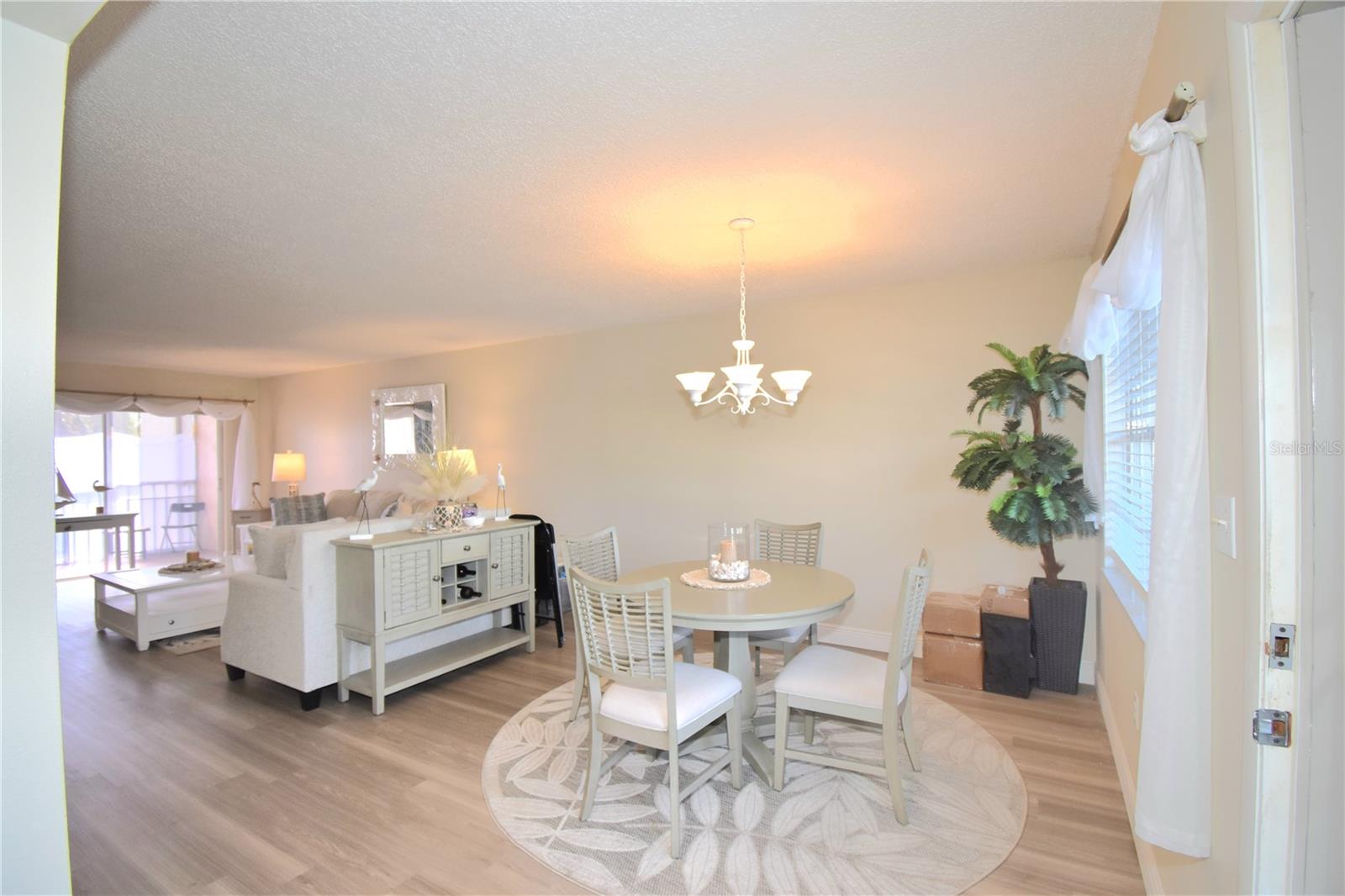 952 VIRGINIA ST #209, DUNEDIN, FL — photo 5