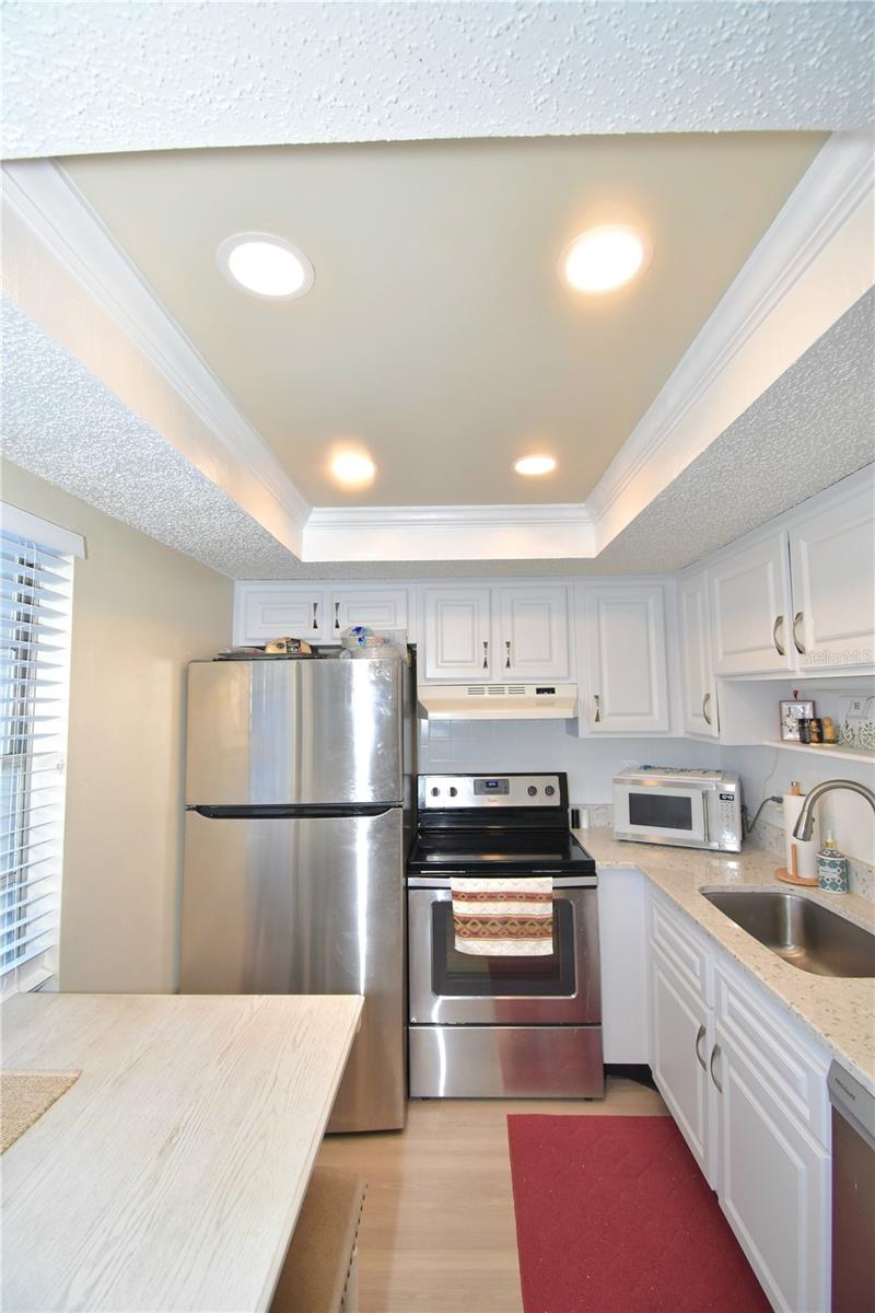 952 VIRGINIA ST #209, DUNEDIN, FL — photo 18