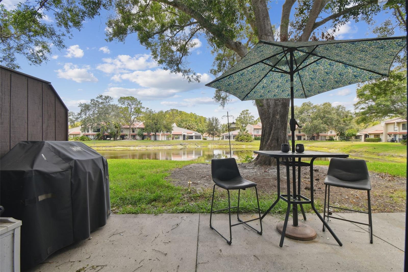 3505 TARPON WOODS BLVD #P404, PALM HARBOR, FL — photo 41