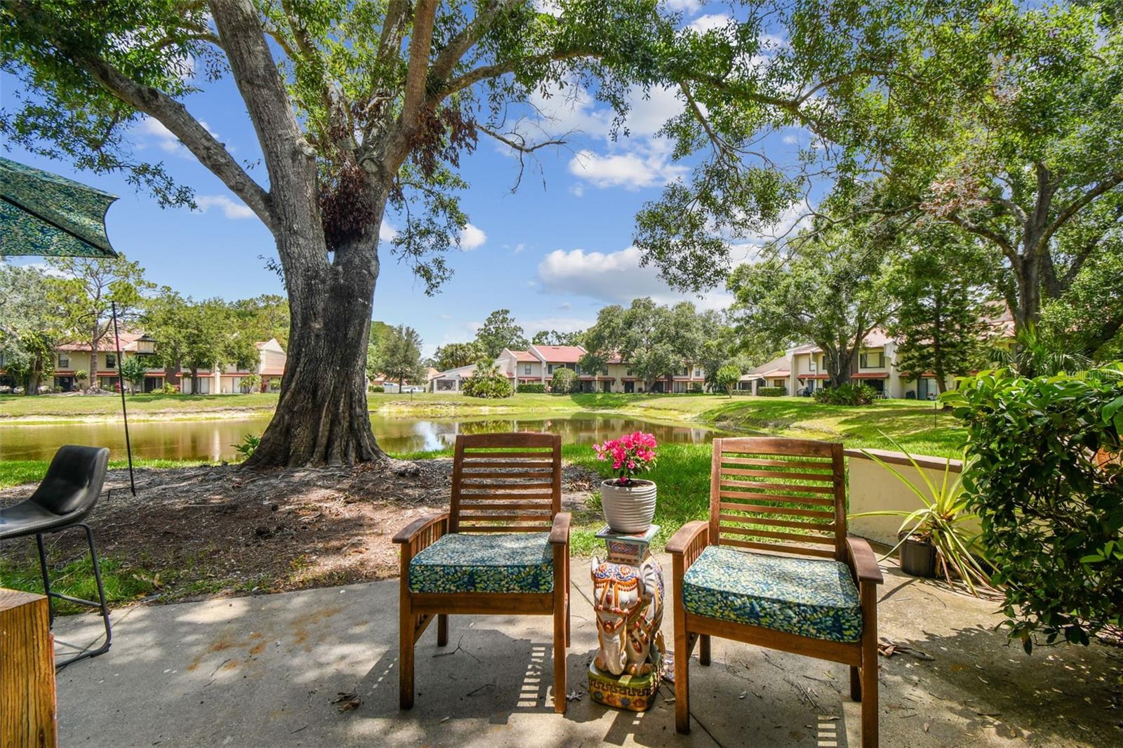 3505 TARPON WOODS BLVD #P404, PALM HARBOR, FL — photo 45