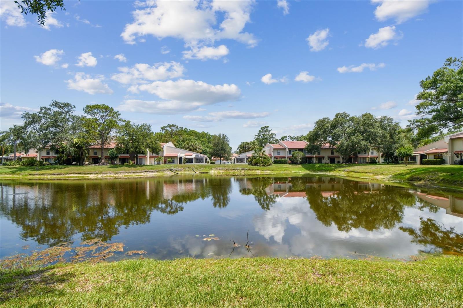 3505 TARPON WOODS BLVD #P404, PALM HARBOR, FL — photo 47