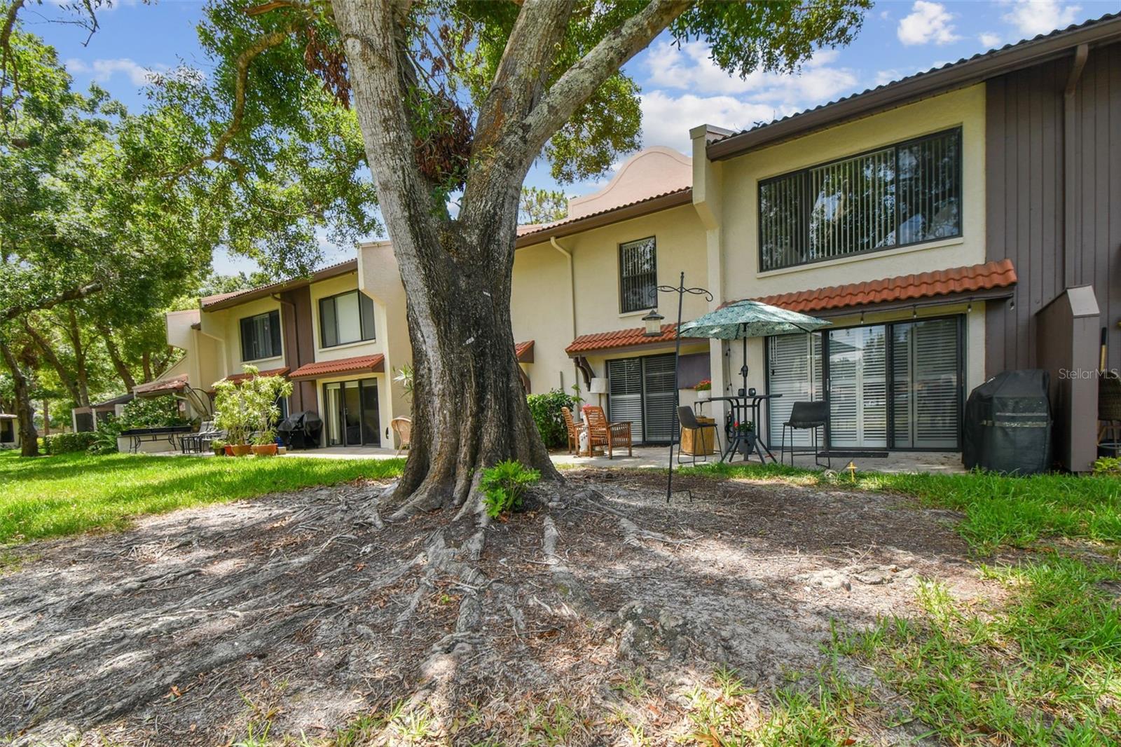 3505 TARPON WOODS BLVD #P404, PALM HARBOR, FL — photo 48