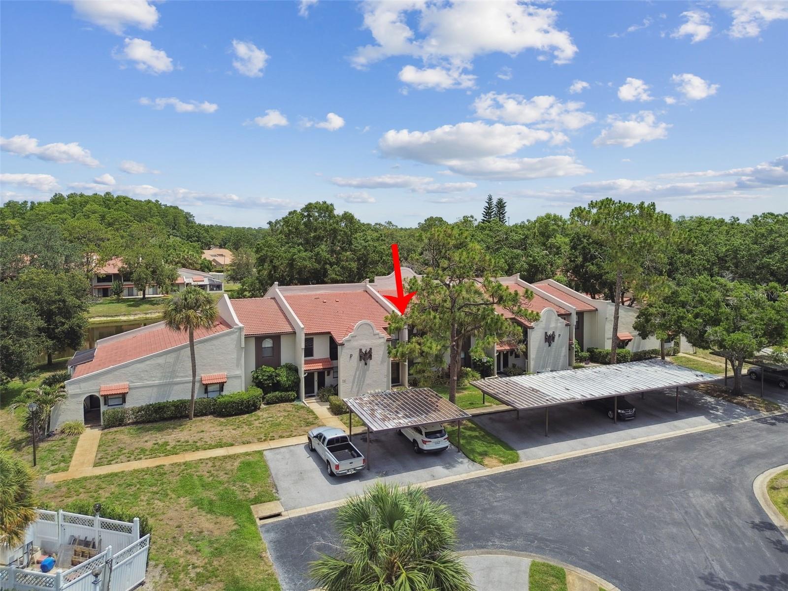 3505 TARPON WOODS BLVD #P404, PALM HARBOR, FL — photo 49