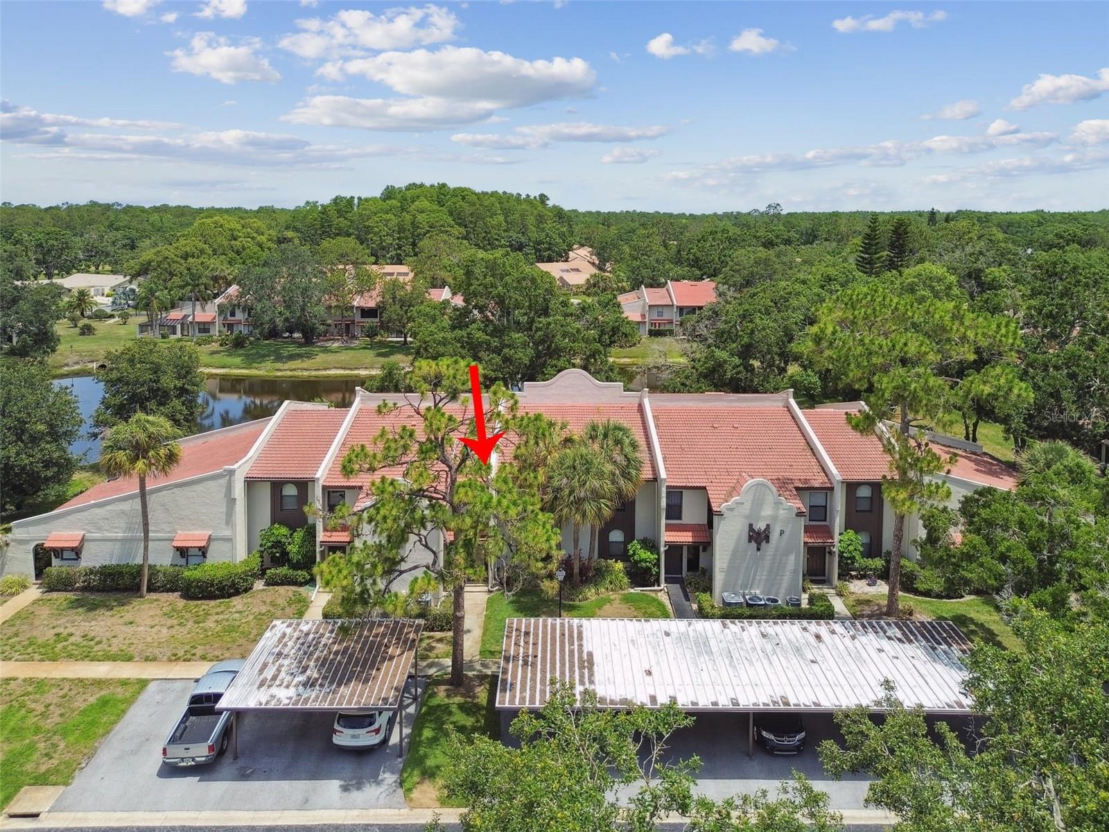 3505 TARPON WOODS BLVD #P404, PALM HARBOR, FL — photo 50