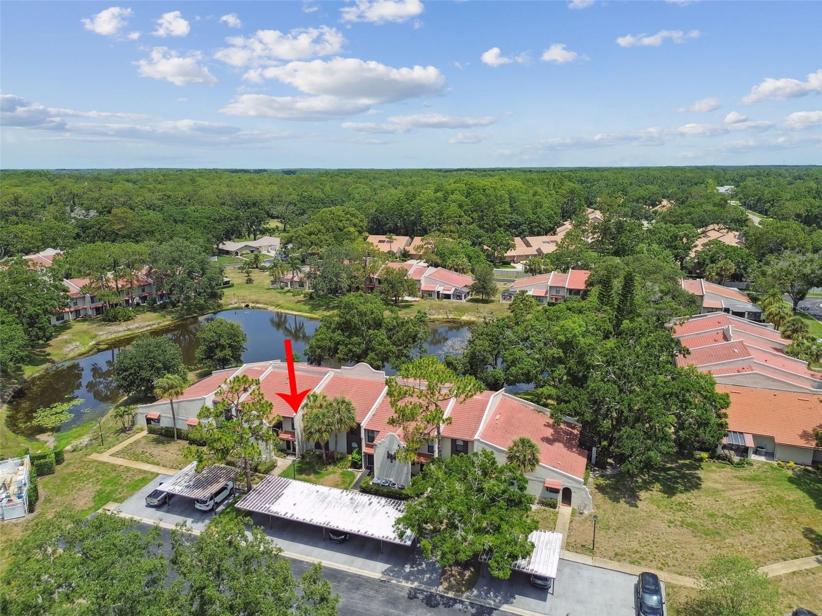 3505 TARPON WOODS BLVD #P404, PALM HARBOR, FL — photo 51
