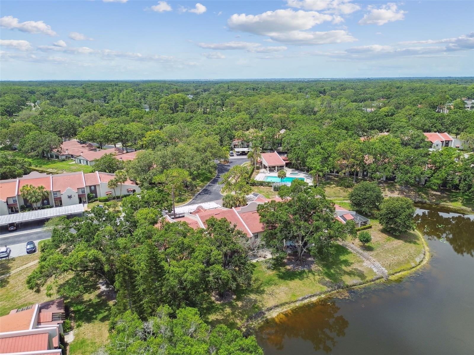 3505 TARPON WOODS BLVD #P404, PALM HARBOR, FL — photo 52