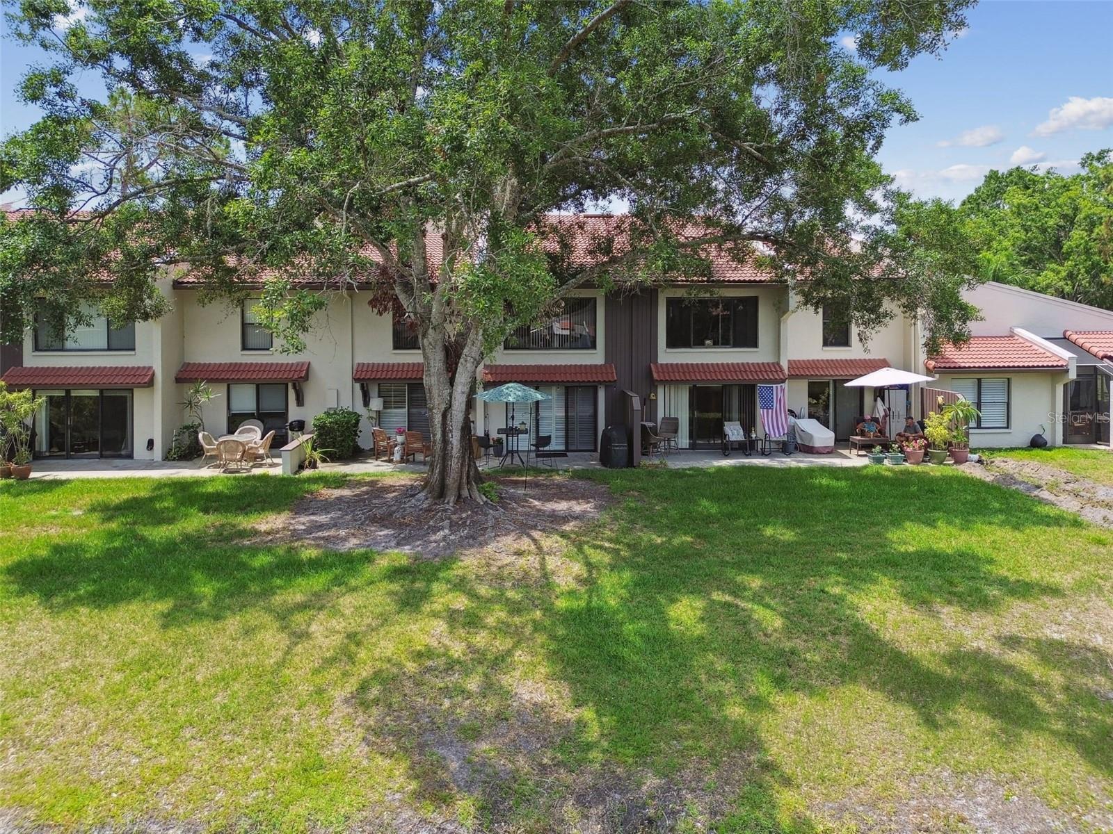 3505 TARPON WOODS BLVD #P404, PALM HARBOR, FL — photo 53