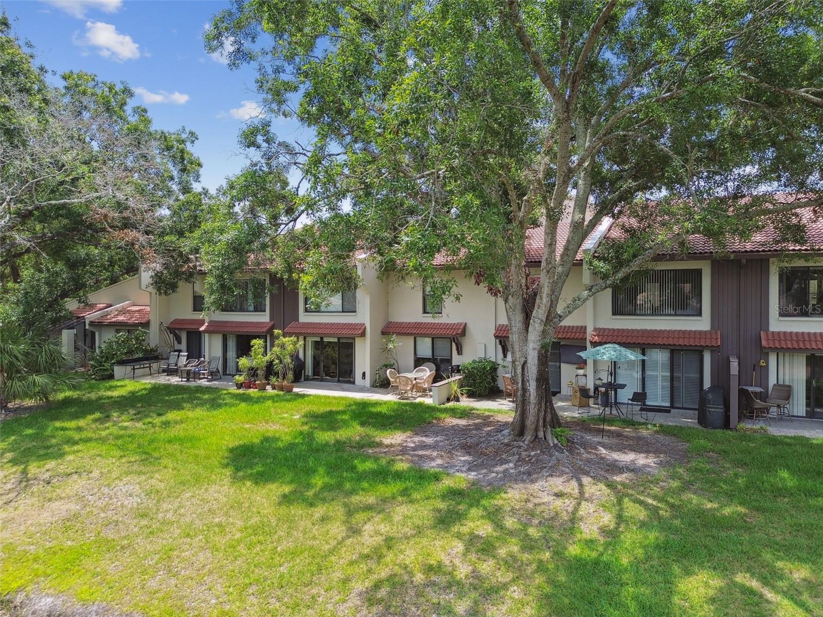 3505 TARPON WOODS BLVD #P404, PALM HARBOR, FL — photo 54