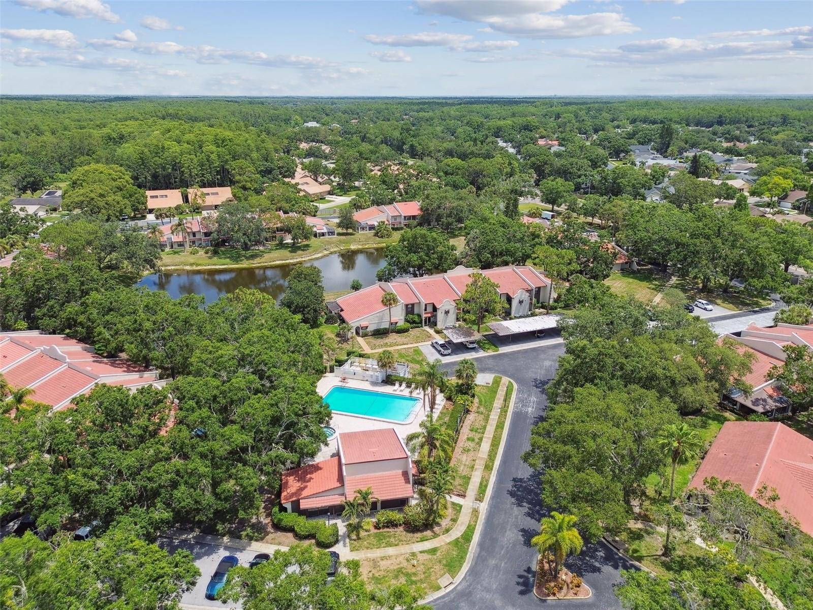 3505 TARPON WOODS BLVD #P404, PALM HARBOR, FL — photo 55
