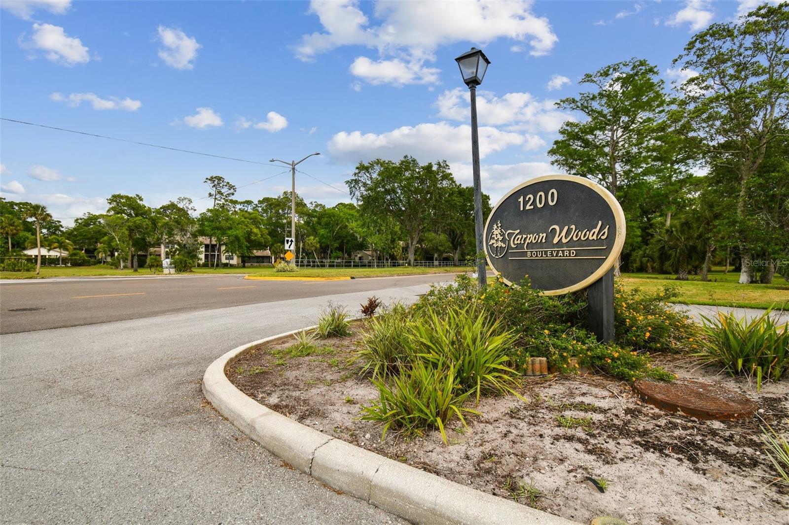 3505 TARPON WOODS BLVD #P404, PALM HARBOR, FL — photo 57