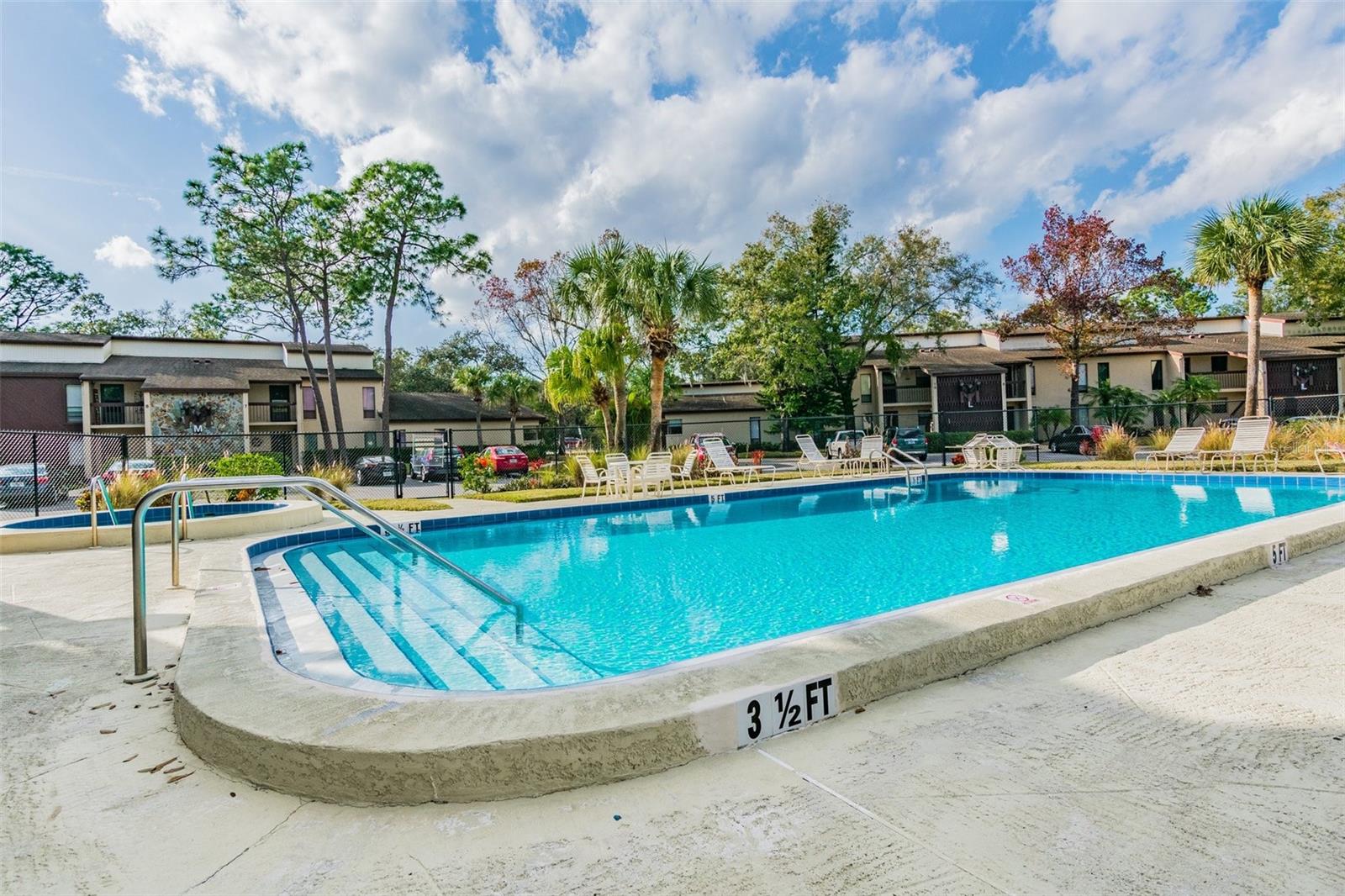 3505 TARPON WOODS BLVD #P404, PALM HARBOR, FL — photo 62