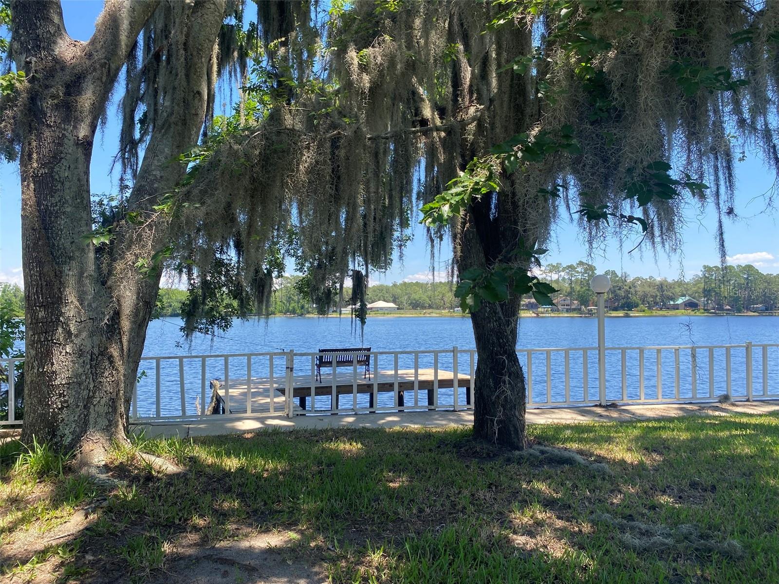 229 LAKE IDA POINT DR, INTERLACHEN, FL — photo 16
