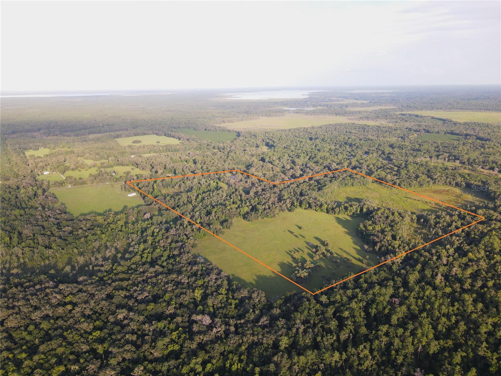 11816 SE COUNTY ROAD 234, MICANOPY, FL