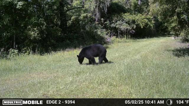 11816 SE COUNTY ROAD 234, MICANOPY, FL — photo 10