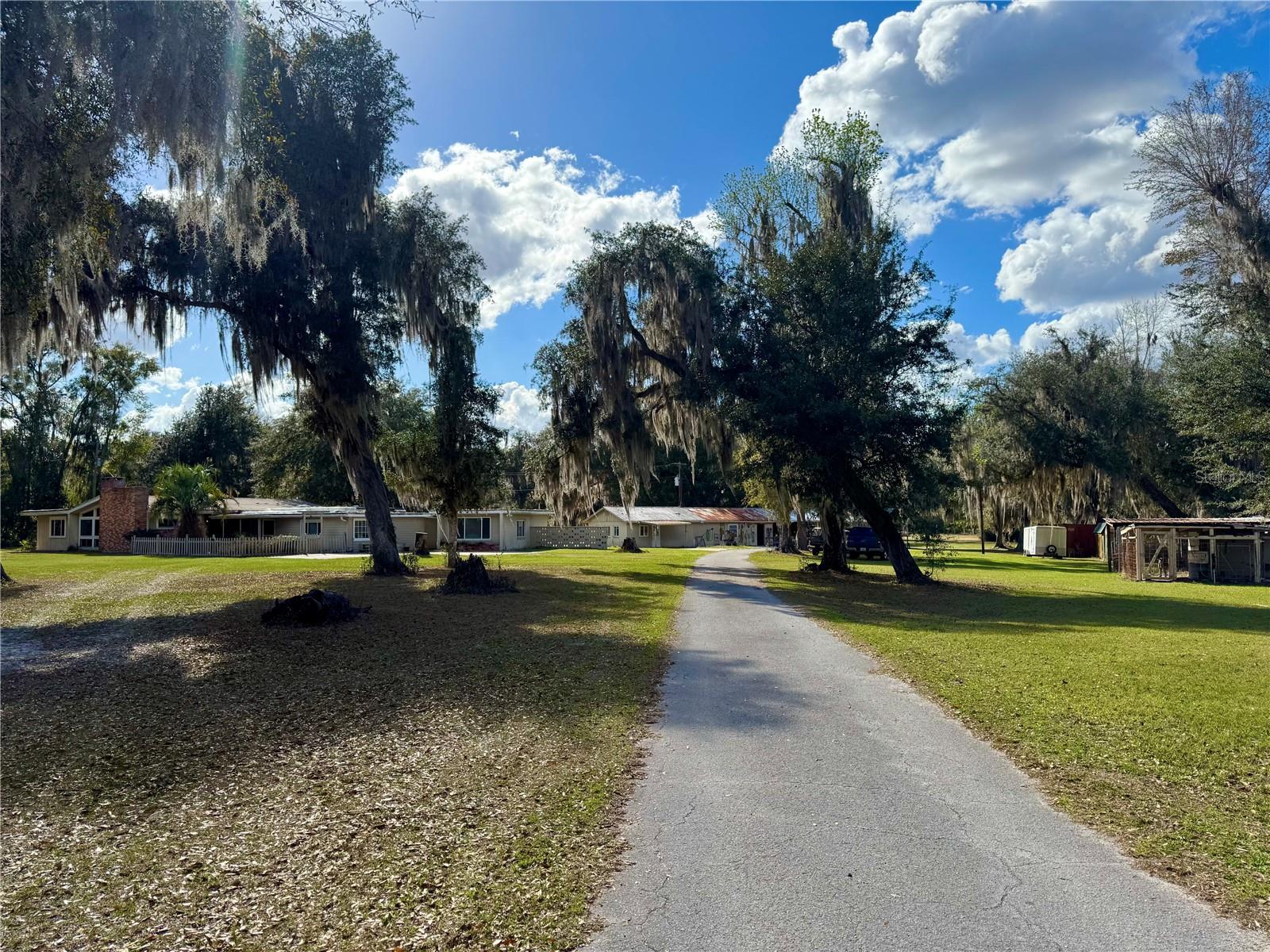 11816 SE COUNTY ROAD 234, MICANOPY, FL — photo 62