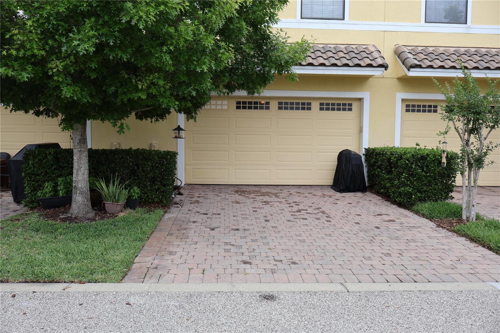 , ORLANDO, FL — photo 29