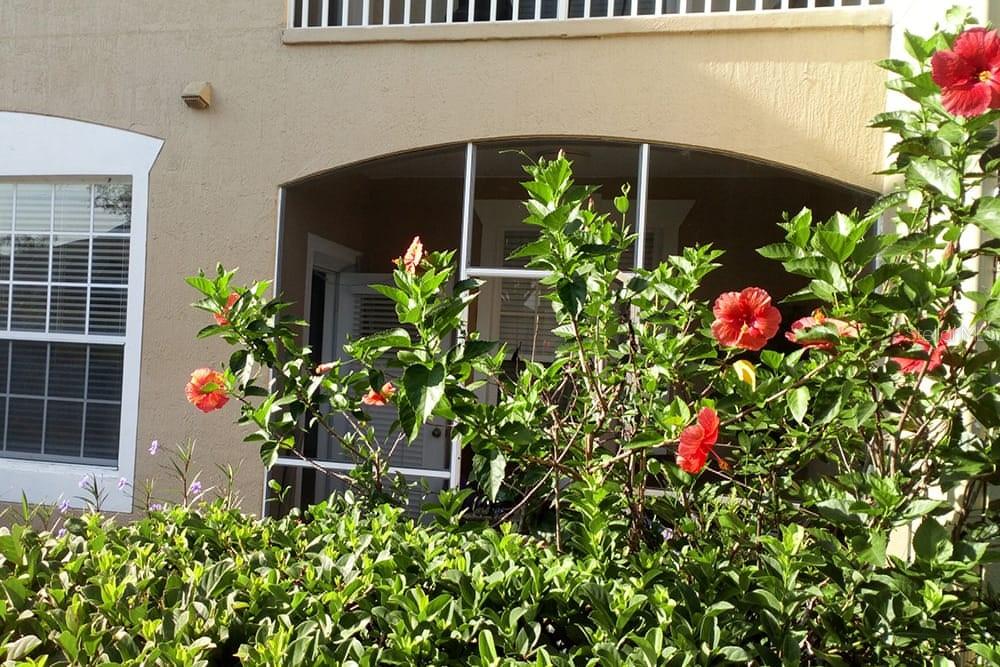 2307 BUTTERFLY PALM WAY ## 102, KISSIMMEE, FL — photo 13