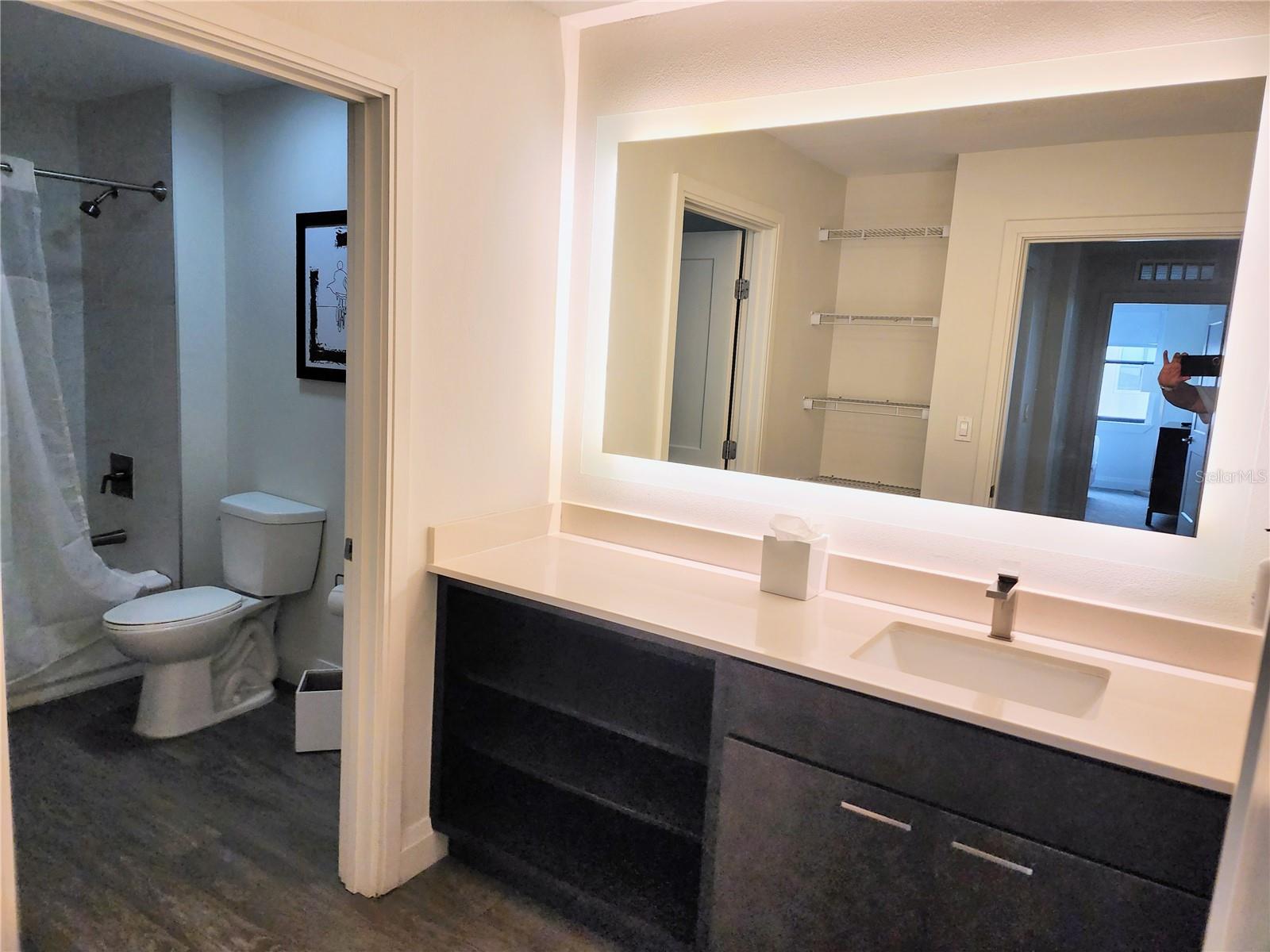 14501 GROVE RESORT AVE #3737, WINTER GARDEN, FL — photo 19