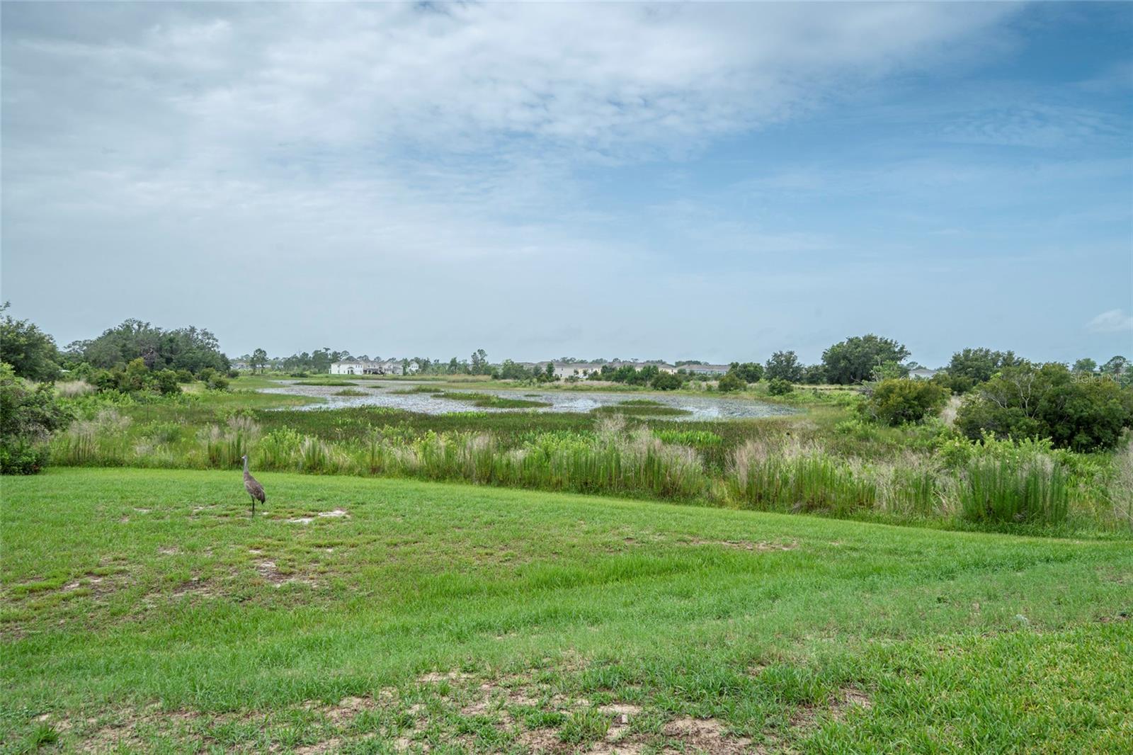 212 PRIMROSE DR, DAVENPORT, FL — photo 22