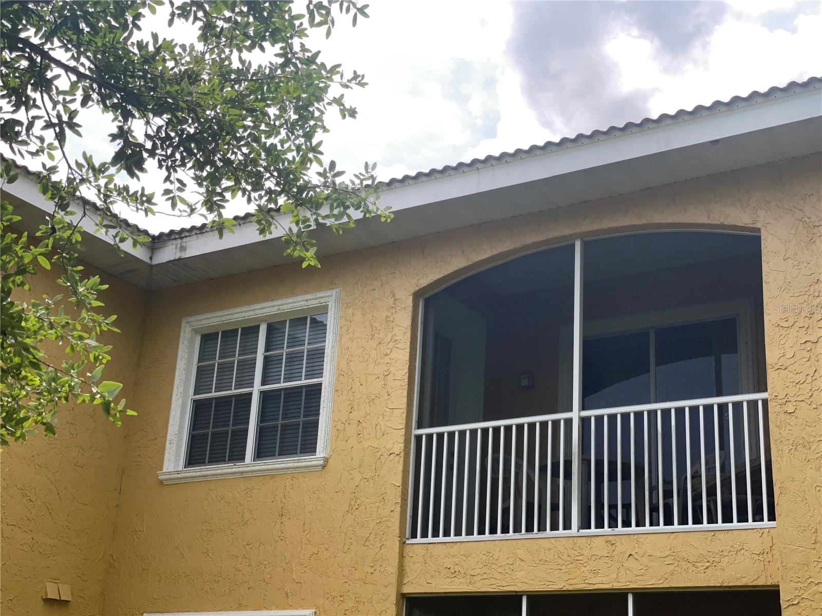 6816 DALI AVE #205, LAND O LAKES, FL — photo 3