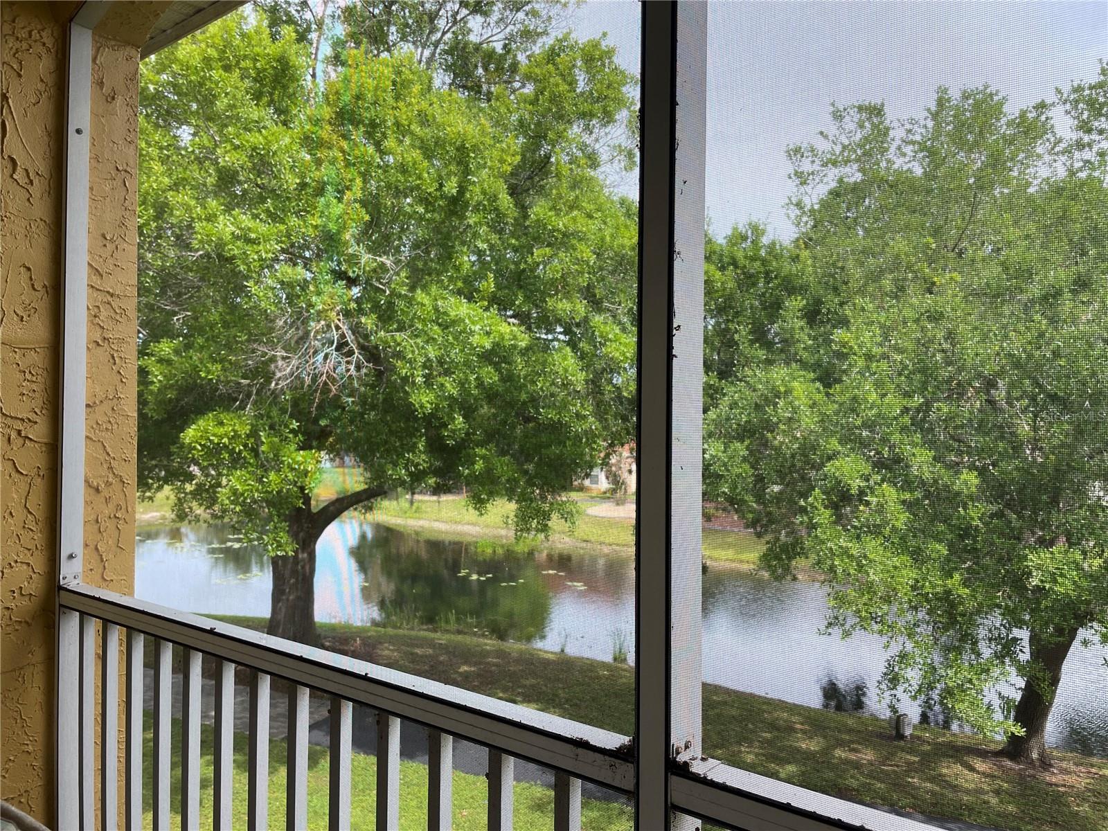 6816 DALI AVE #205, LAND O LAKES, FL — photo 7