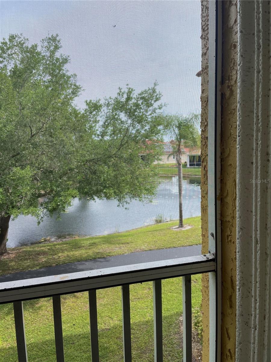 6816 DALI AVE #205, LAND O LAKES, FL — photo 11