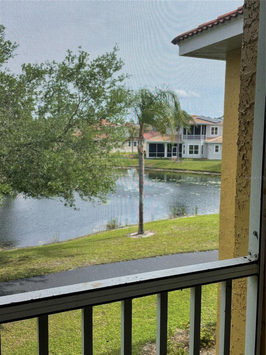 6816 DALI AVE #205, LAND O LAKES, FL — photo 16