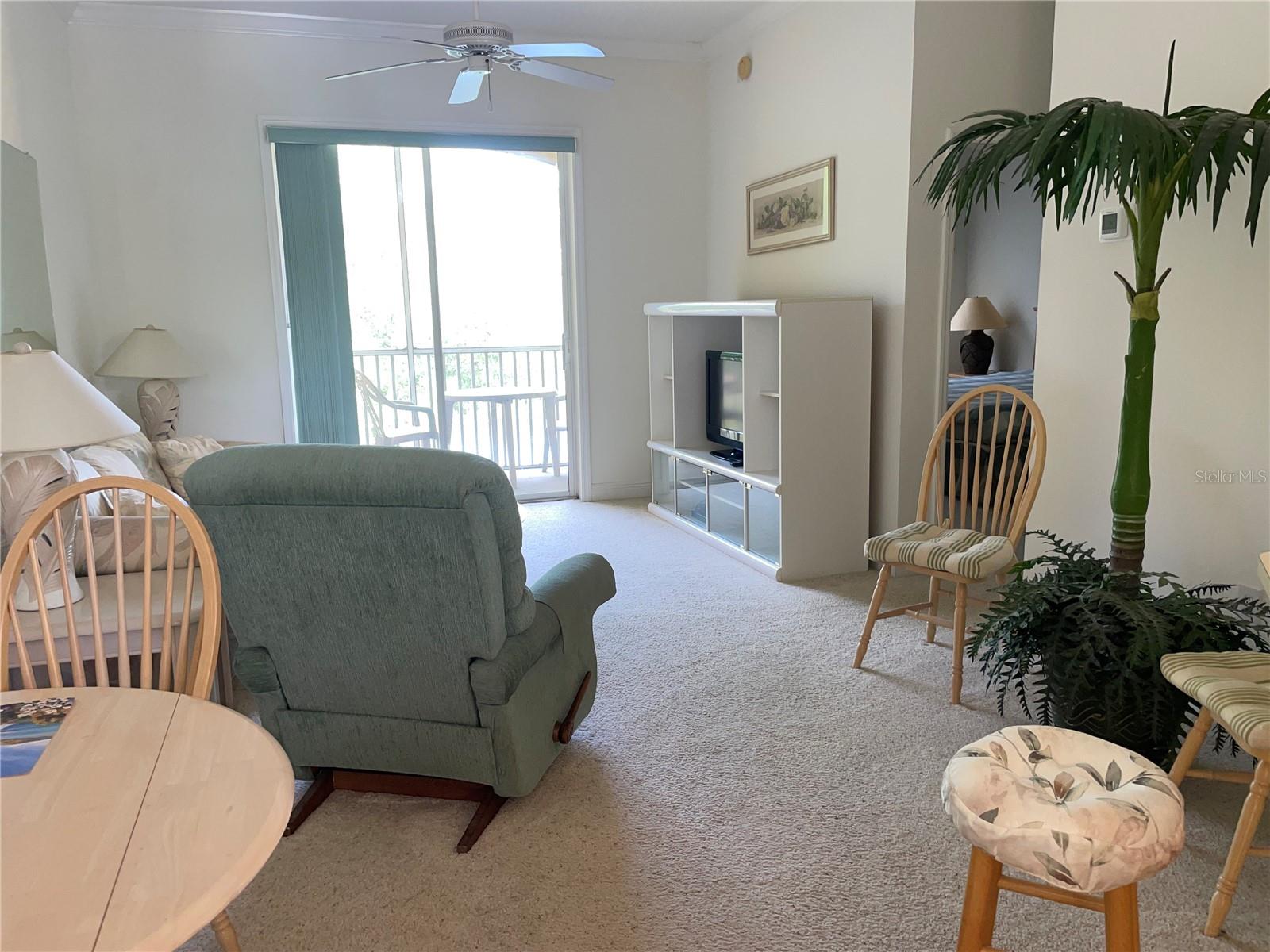 6816 DALI AVE #205, LAND O LAKES, FL — photo 2