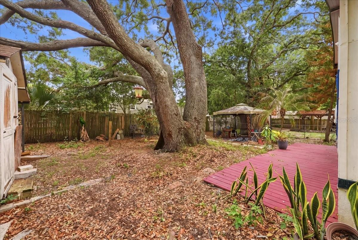 1908 REGINA DR, LAKE ALFRED, FL — photo 34