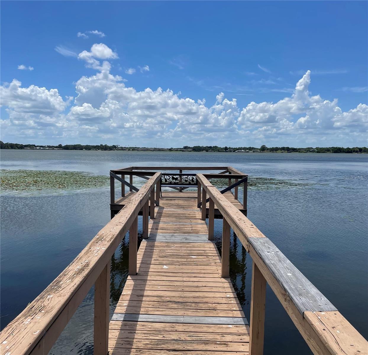 1908 REGINA DR, LAKE ALFRED, FL — photo 47