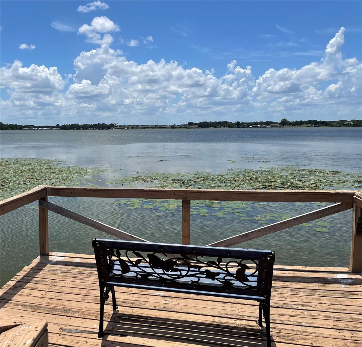 1908 REGINA DR, LAKE ALFRED, FL — photo 48