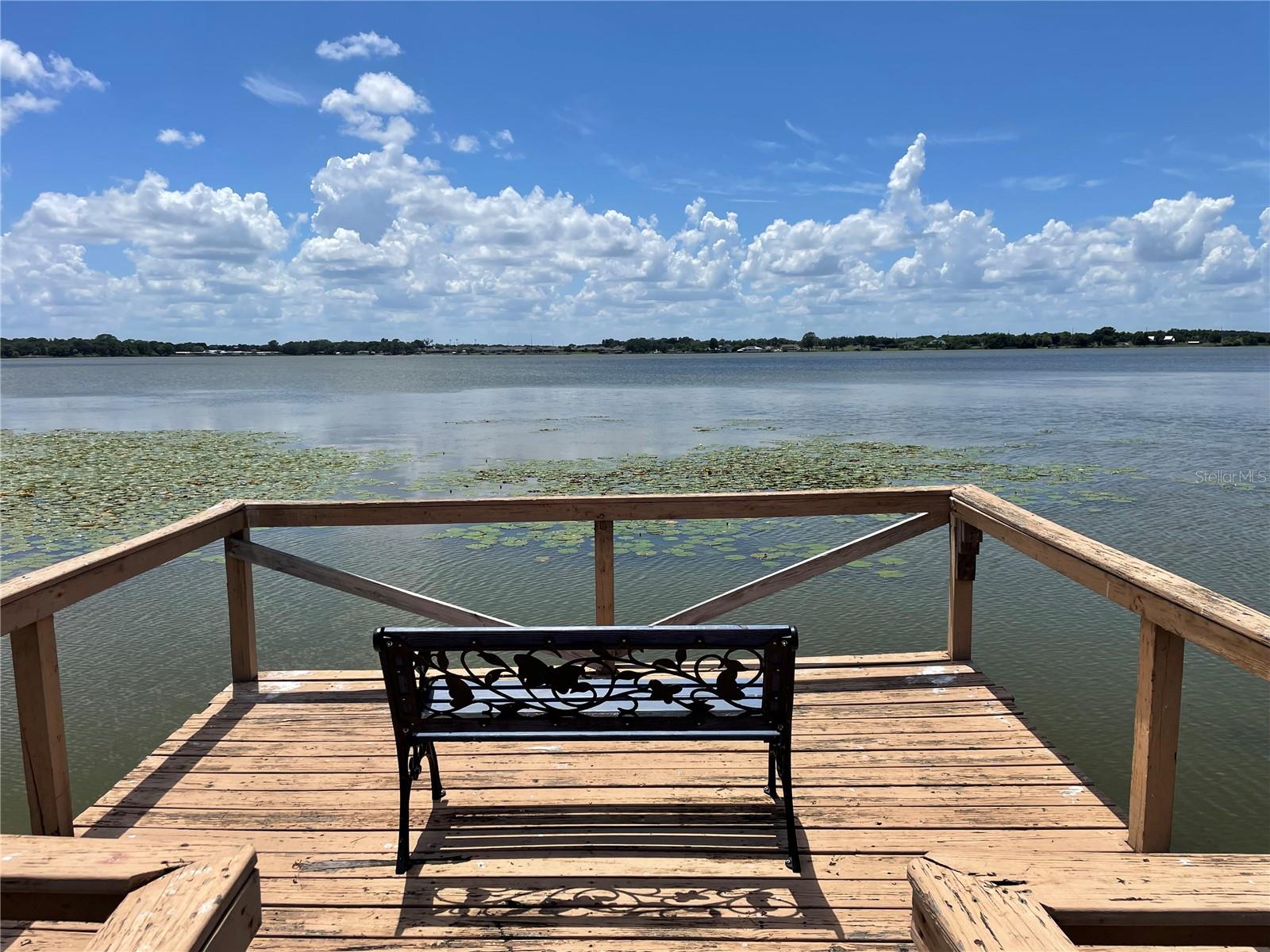 1908 REGINA DR, LAKE ALFRED, FL — photo 49