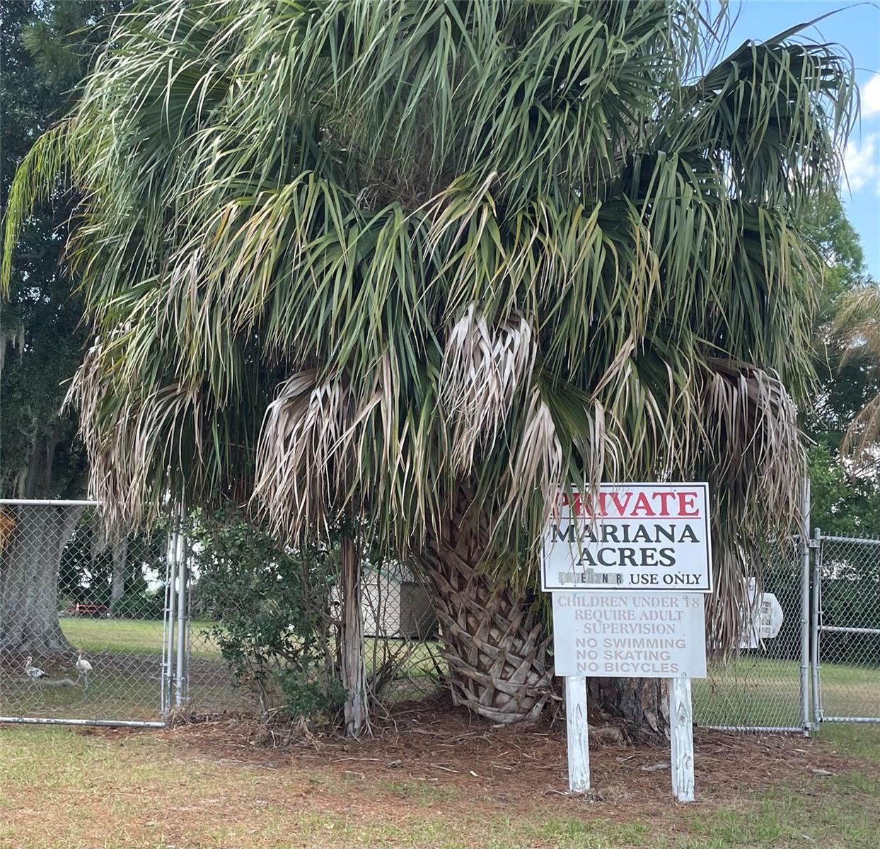 1908 REGINA DR, LAKE ALFRED, FL — photo 50