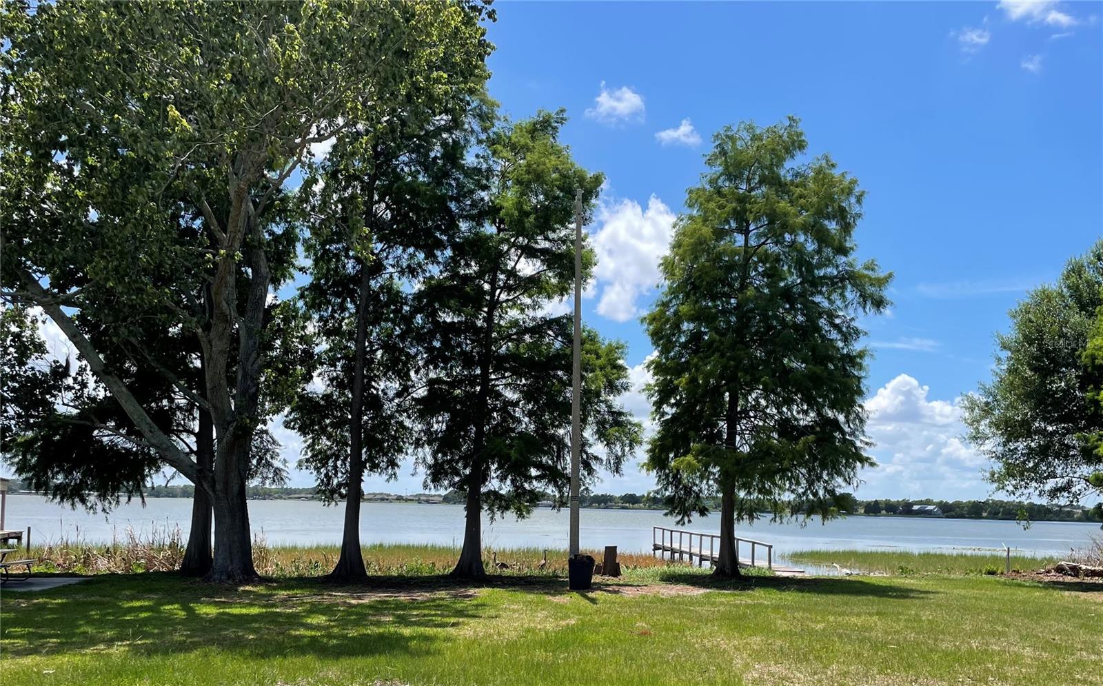 1908 REGINA DR, LAKE ALFRED, FL — photo 54