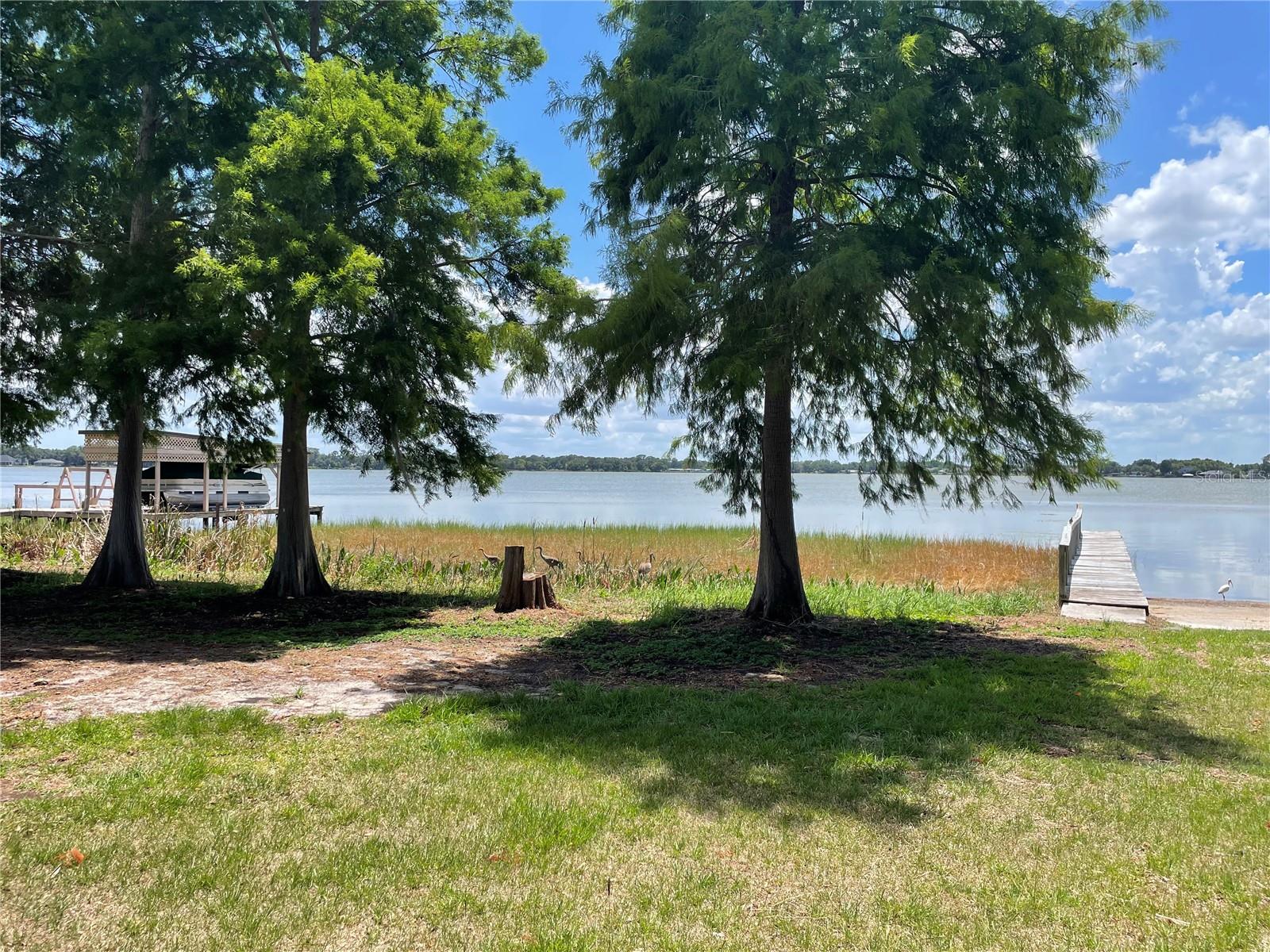 1908 REGINA DR, LAKE ALFRED, FL — photo 56