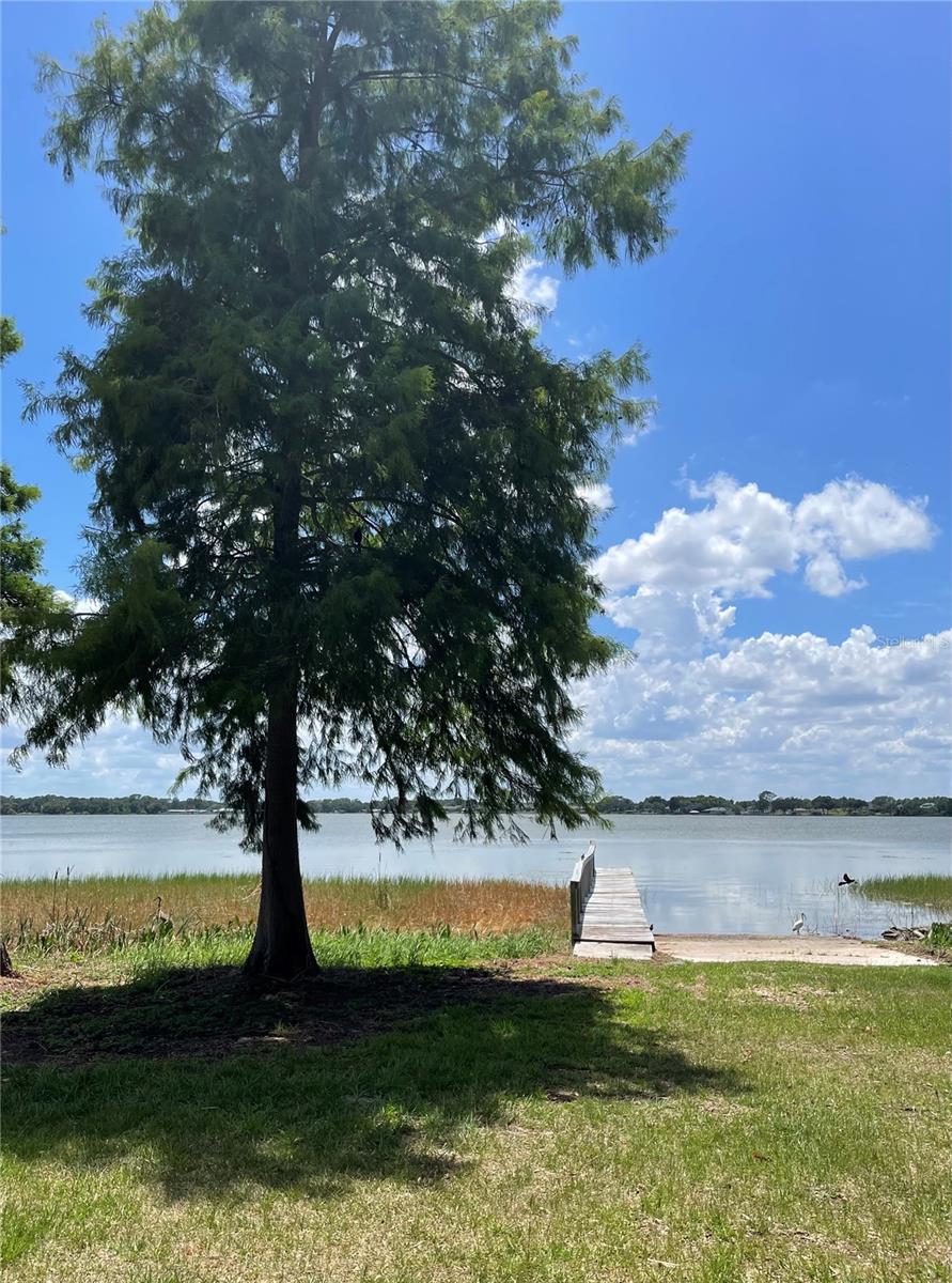 1908 REGINA DR, LAKE ALFRED, FL — photo 57