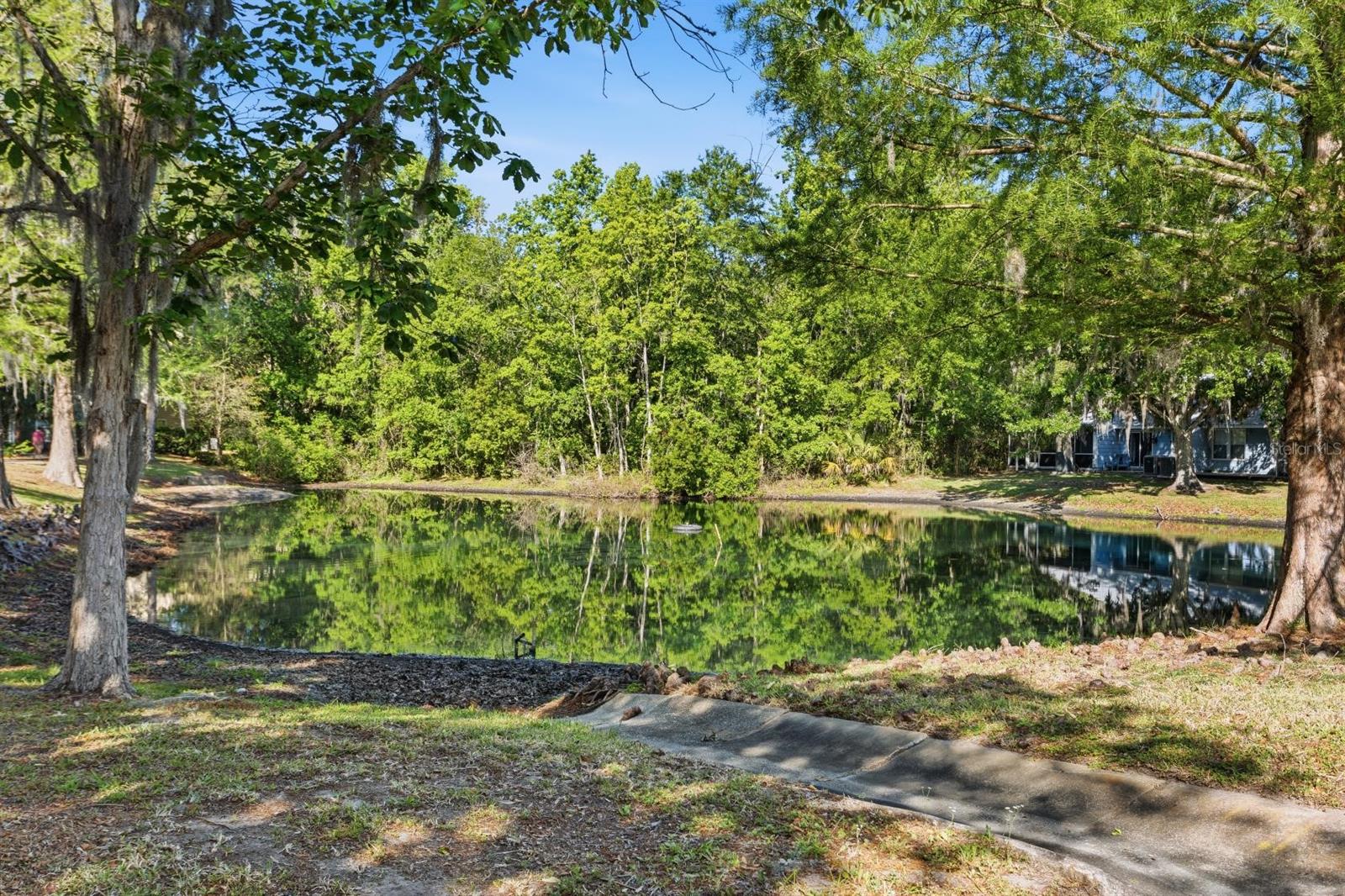 239 NW 48TH BLVD, GAINESVILLE, FL — photo 41