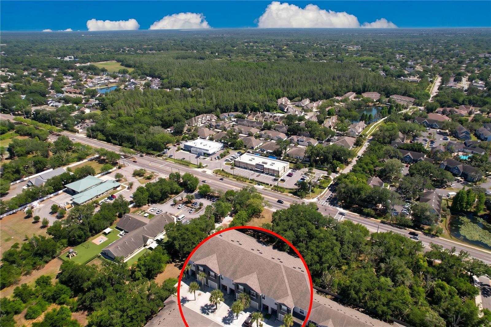 3313 PLEASANT WILLOW CT, BRANDON, FL — photo 5